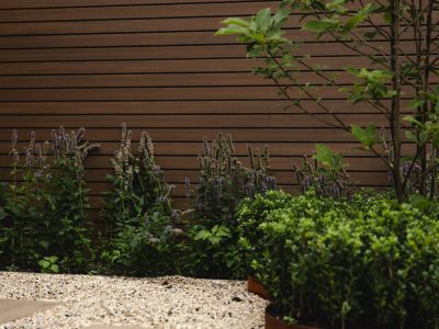 beplanting Onderhoud en nazorg beplating Onderhoud en nazorg