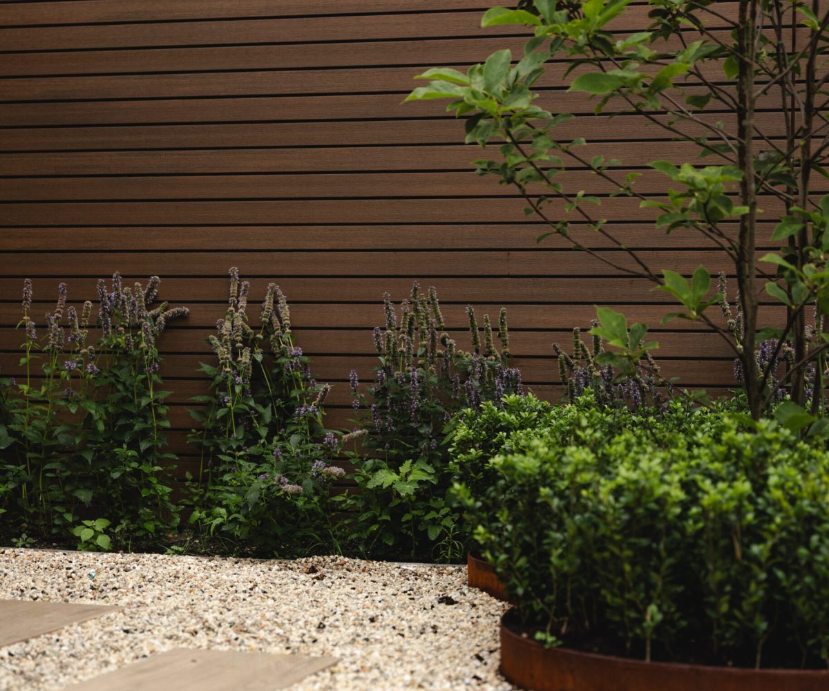 beplanting Onderhoud en nazorg beplating Onderhoud en nazorg