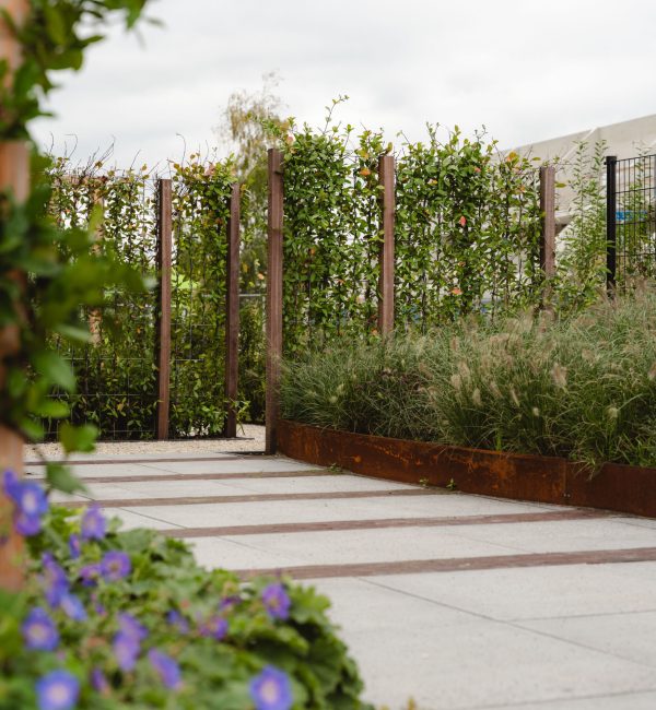 Tuinbeplanting Tuinbeplanting